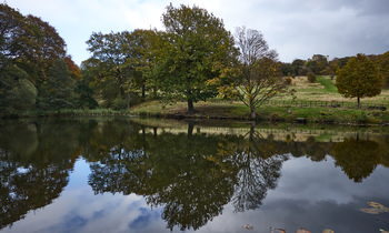 Reflection on pond at Hardwick Hall This landscape photograph captures the reflection on a pond at Hardwick Hall in Derbyshire, England, United Kingdom. Taken in the early afternoon during autumn, the image shows a tranquil pond bordered by trees in varying shades of green and gold, reflecting the changing leaves of the season on the water’s surface. Behind the pond, the rolling fields and scattered trees of the Hardwick estate stretch up towards the skyline, where the distinctive structure of Hardwick Hall is visible among the trees. The scene highlights the peaceful natural beauty typical of the English countryside and showcases the historic architecture of Hardwick Hall, making it a quintessential representation of autumn in Derbyshire.